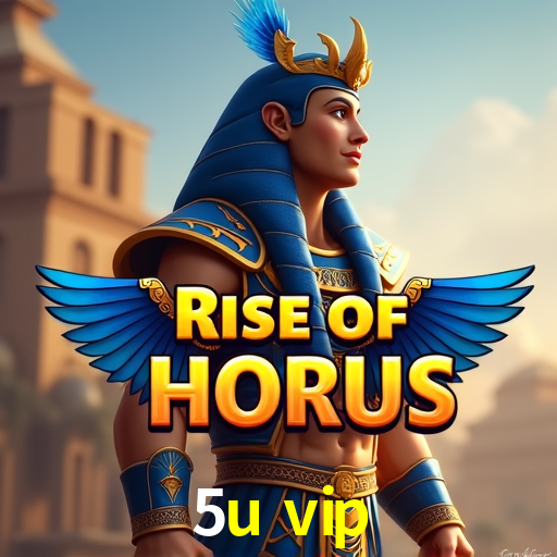 API Integration 5u vip